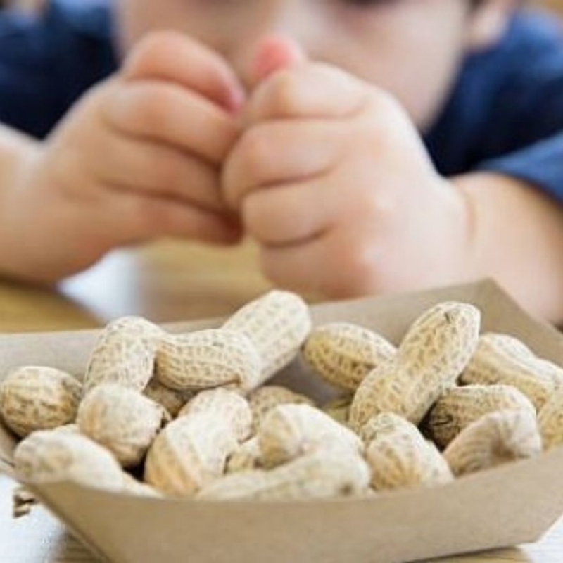 What Should Those Who Have Nut Allergy Do?