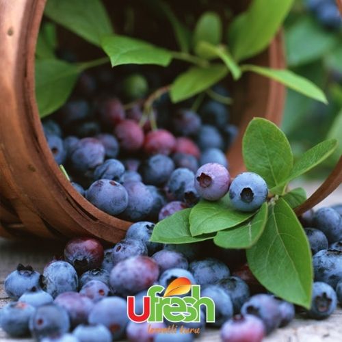 Highest Antioxidant Capacity Nut: Blueberry