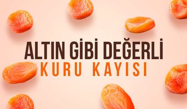 Kayısı